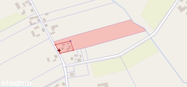 Dom na dużej działce, wraz z zabudowaniami