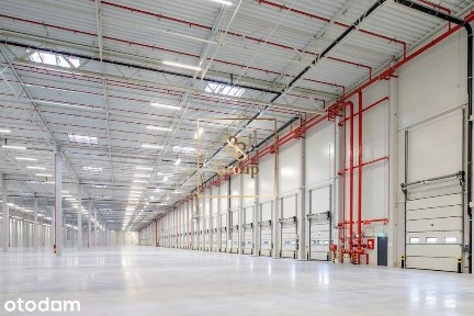 Do wynajęcia magazyn 9930m2 w Błoniu