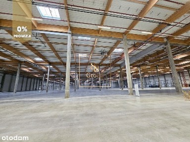 Hala 8 800 m2, wysokie składowanie - Stary Konik