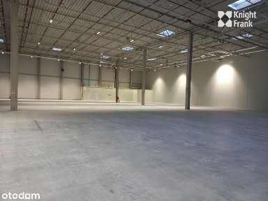 Magazyn na Annopolu/576 m2 + 197 m2 biura