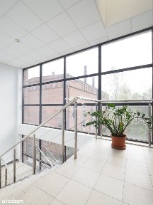 Lokal na wynajem, Wrocław