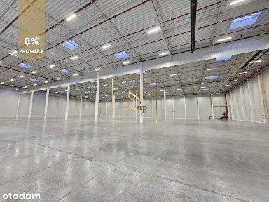 10.000 m2 magazyn od zaraz