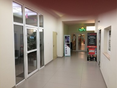 Apartament trzypokojowy w centrum Poznania przy Pl. Wolności