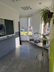 Lokal do wynajęcia