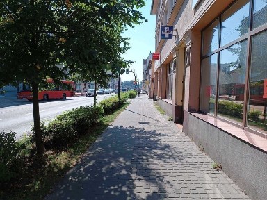 Lokal do wydzierżawienia handlowo/usługowo/biurowy