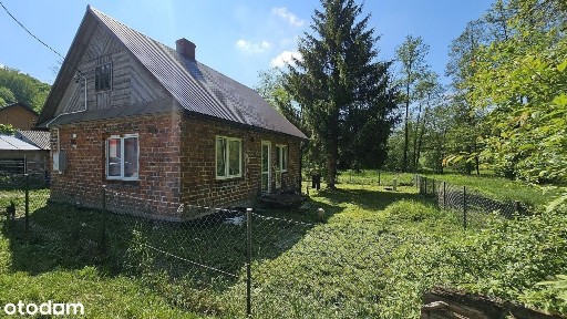 Urokliwy dom z czerwonej cegły z dużym potencjałem - pow.Kraśnicki