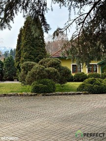 Posiadłość przy lesie z widokiem na góry