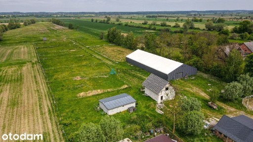 Siedlisko 7,45 ha | Stadnina koni | 5 km od morza