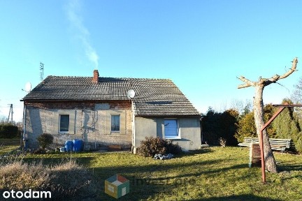 37 arów w Sarnowie - dom z cegły i duże zaplecze