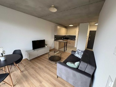 Wynajmę nowe mieszkanie 2 -pokojowe w centrum Żor/ K12