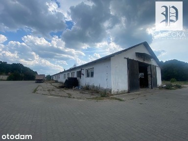 Hala z lokalem przy drodze S3 Wolin - Świnoujście