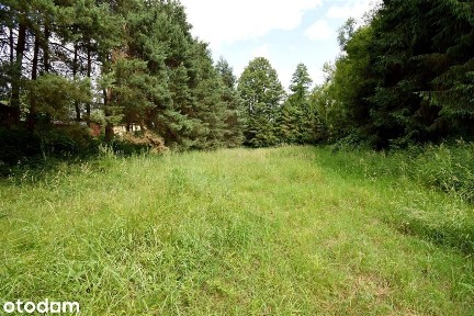 Działka 4435m2 z budynkiem w Drogomyślu.