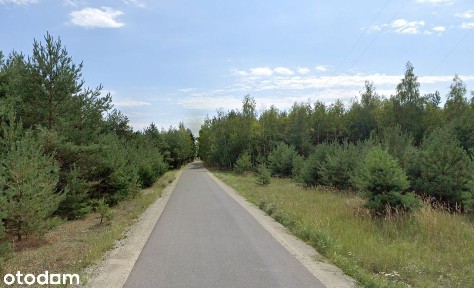 Żółwieniec dom przy jeziorze parterowy