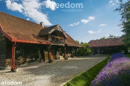 Orelec, Olszanica, leski, podkarpackie