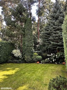 Os. Bajkowe, Ławica, Grunwald, Poznań, wielkopolskie