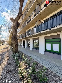 Ostatni lokal użytkowy na Wilsona 19