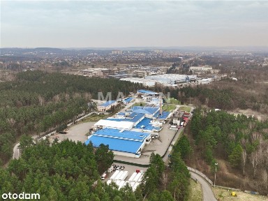 Funkcjonujący zakład produkcyjny, mięsny, chłodnia
