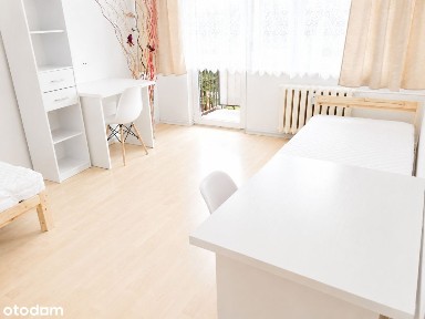 Gotowiec na sprzedaż! 4 niezależne pokoje