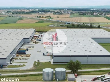 Magazyn 5316 m2 Bielany Wrocławskie - 0% prowizji