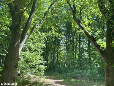 4-pokoje* słoneczne* 2026 | garderoba| Promocja