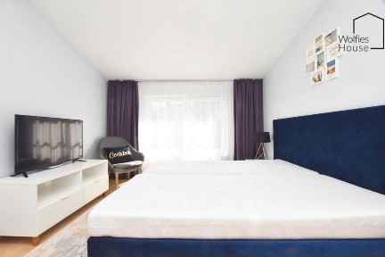 Halicka | Kazimierz | Studio | ENG