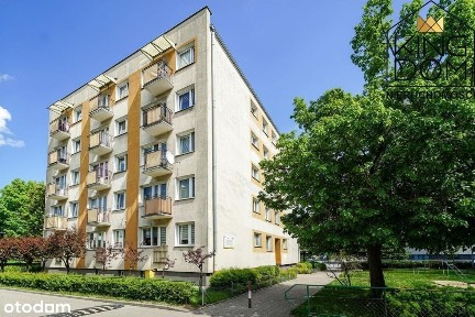 Ustawna kawalerka do remontu/ świetna lokalizacja