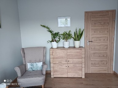 Wynajem gabinetu dla psychoterapeuty/psychologa - Kraków, Śródmieście.