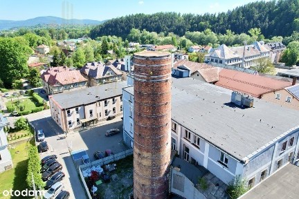 Obiekt inwestycyjny z dochodowymi lokalami