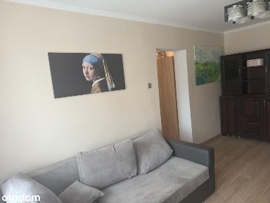 mieszkanie, umeblowane, Chorzów, 38m2