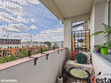 3 pokoje | Huby | Balkon | Pod wynajem