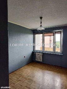 Śląska, Jastrzębie-Zdrój, śląskie