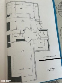 3 Pokoje w cichej okolicy | Wrzeszcz Dolny