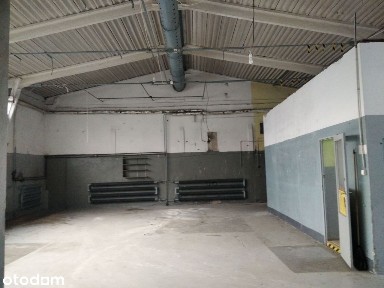 BEZPOŚREDNIO 150 m2 Grunwald - Górczyn
