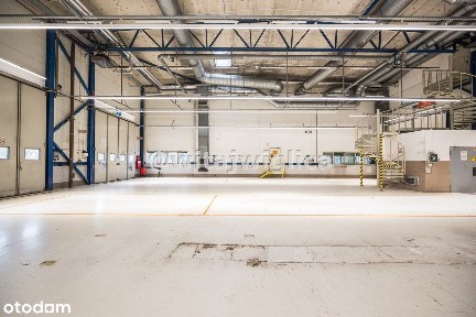 Hala prod-magaz, teren 10.000m2, doki, socjal