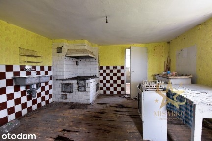 Dom z dużą działką 3300 m² - Horodnianka