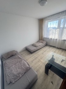 dom hostel całość na wynajem