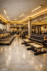 LOKAL POD KLUB FITNESS, STUDIO TRENINGU, SPORT 1260M2 - 38 zł netto/m2