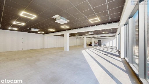 Plebiscytowa, Centrum, Siemianowice Śląskie, śląskie