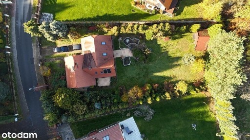 Krokusów, Wilcze Gardło, Gliwice, śląskie