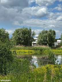 Nowoczesny, prestiżowy dom z widokiem na staw