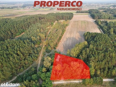 Dom, pow. ok. 80 m2, Promnik, gm. Strawczyn