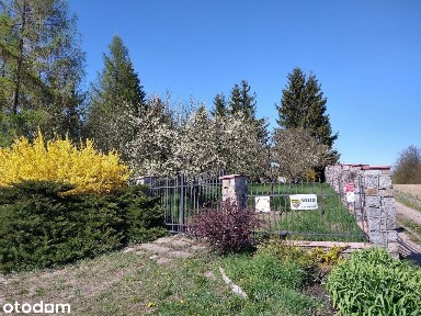 Nieruchomość na wzniesieniu z prywatnym lasem