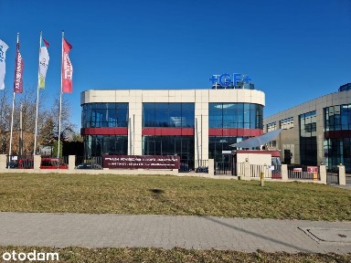 al. Krakowska, Sękocin Nowy, Raszyn, pruszkowski, mazowieckie