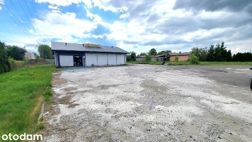 Niesułków Kolonia, Niesułków-Kolonia, Stryków, zgierski, łódzkie