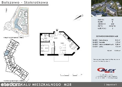 Bolszewo Stokrotkowa