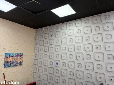 Lokal na wynajem przy St. Zjednocz. 20A parter 71 m2, 44 m2 piwnica