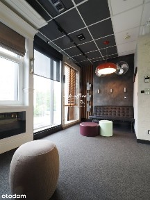 Lokal na wynajem, Wrocław
