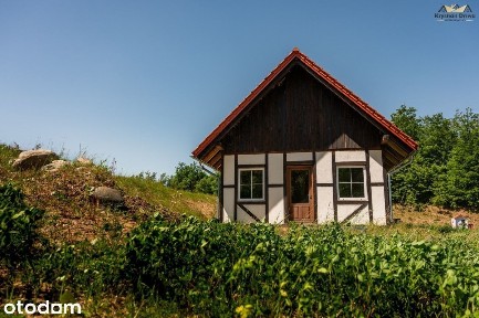 Domek w pięknej okolicy - na wzgórzu - Szymbark!