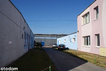 Hala/Magazyn, 255 m², Radom