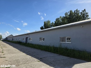 Hala do wynajęcia Słupsk